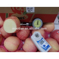 Best price fuji apple stripe big sizes